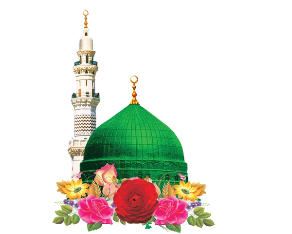 Roza e Rasool Tehreek Dawat e Faqr blogs