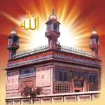 Shrine-Sultan-Bahoo-ra