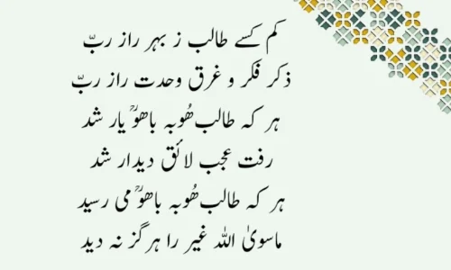 Seeker of Hoo (ھُو) is free from Vanity and Pride